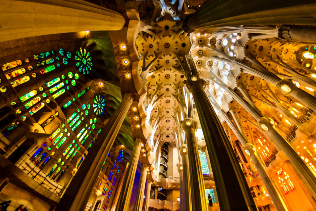 Das Deckengewölbe der Sagrada Familia wird von langen, schmalen Säulen gestützt, die sich am Ende wie Bäume verästeln.