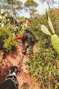 Mann erklettert steile Erdwand zwischen Kakteen, beobachtet von schwarzweissem Hund.