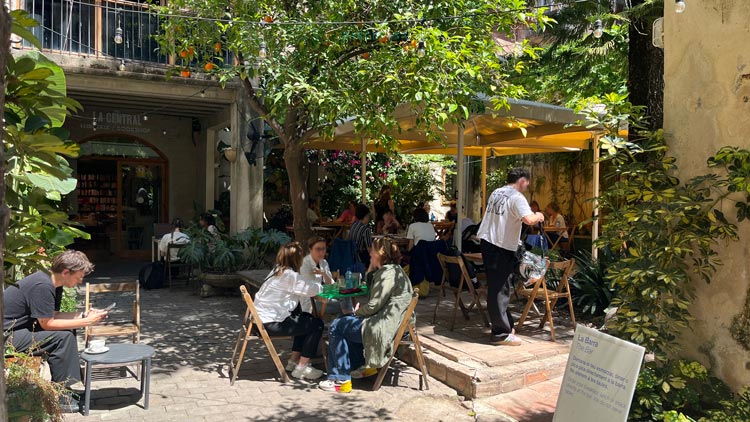 Café in einem versteckten Patio unter Orangenbäumen.