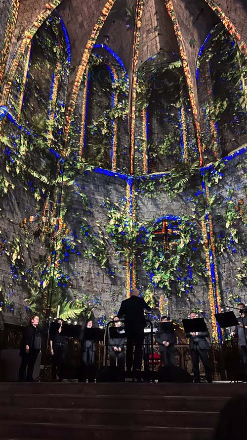Der Chorraum der Basilika wird von digitalem Efeu umrankt.